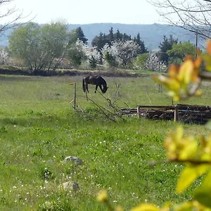 Campagne De Saint Clair Pertuis
